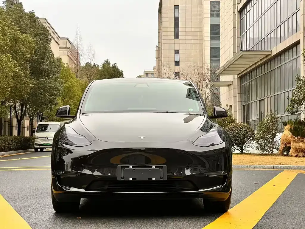 Tesla Model Y — фото 6
