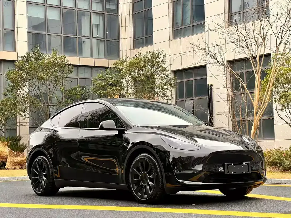Tesla Model Y — фото 9