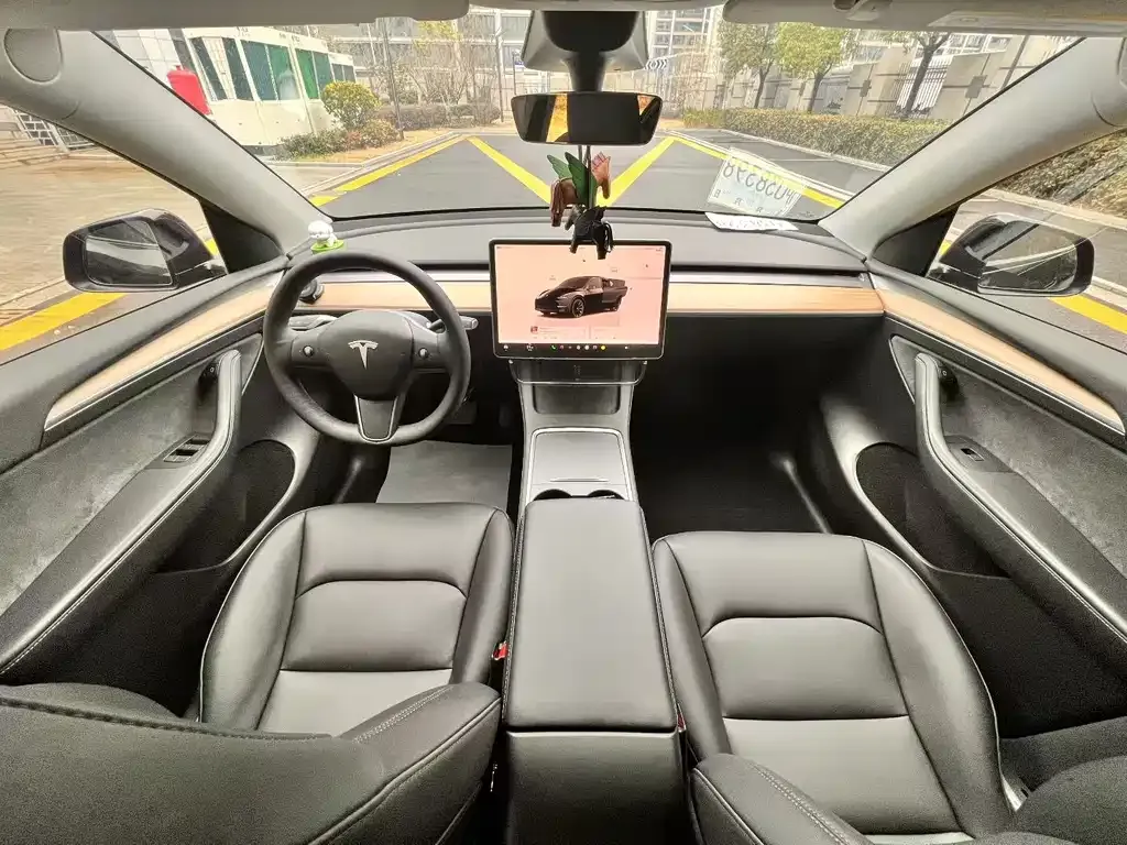 Tesla Model Y — фото 10