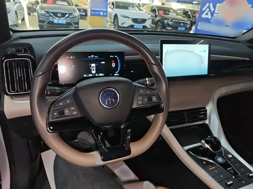 BYD Pro New Energy — фото 8