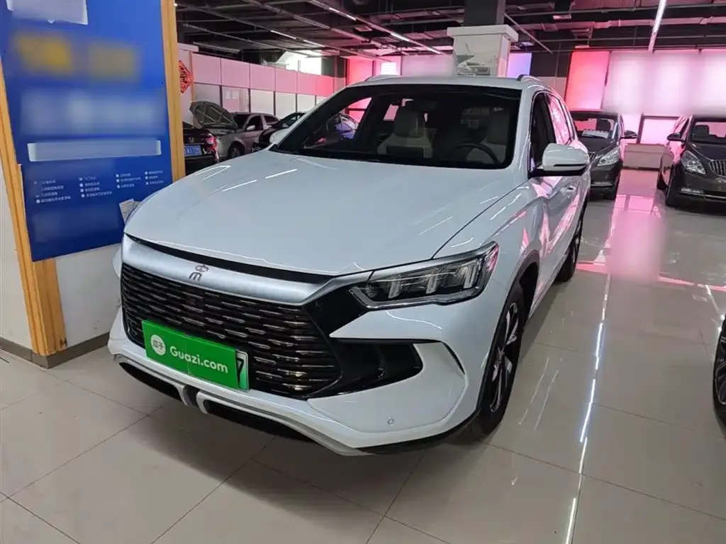 BYD Pro New Energy — фото 7