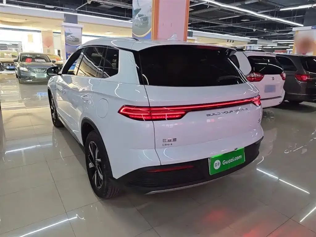BYD Pro New Energy — фото 5