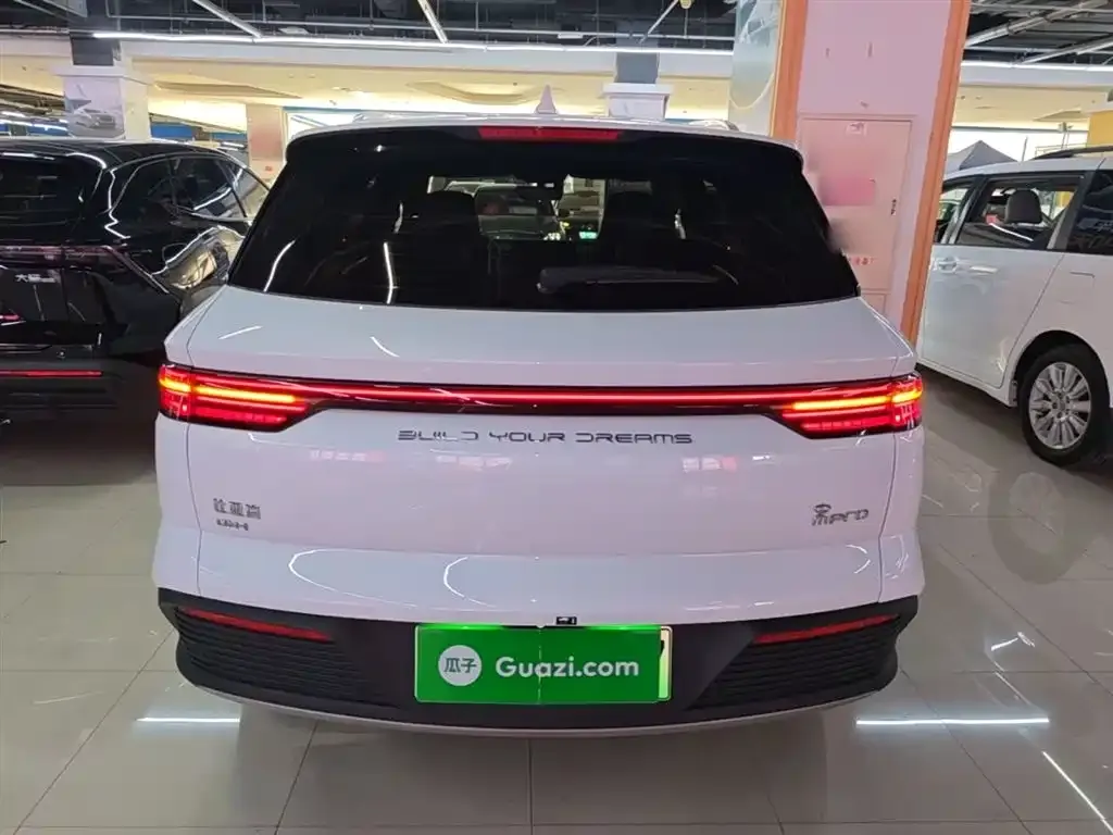 BYD Pro New Energy — фото 2