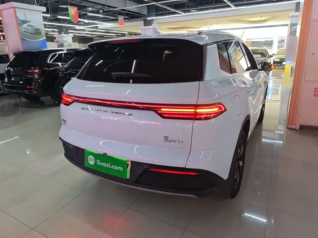 BYD Pro New Energy — фото 9
