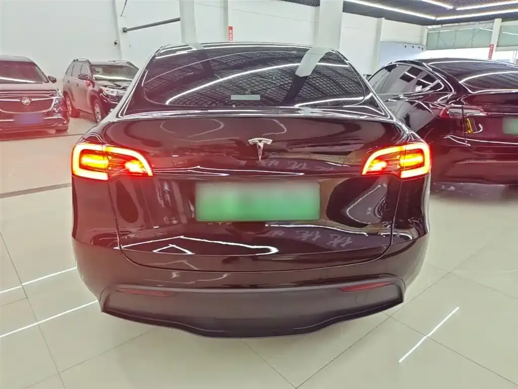 Tesla Model Y — фото 9