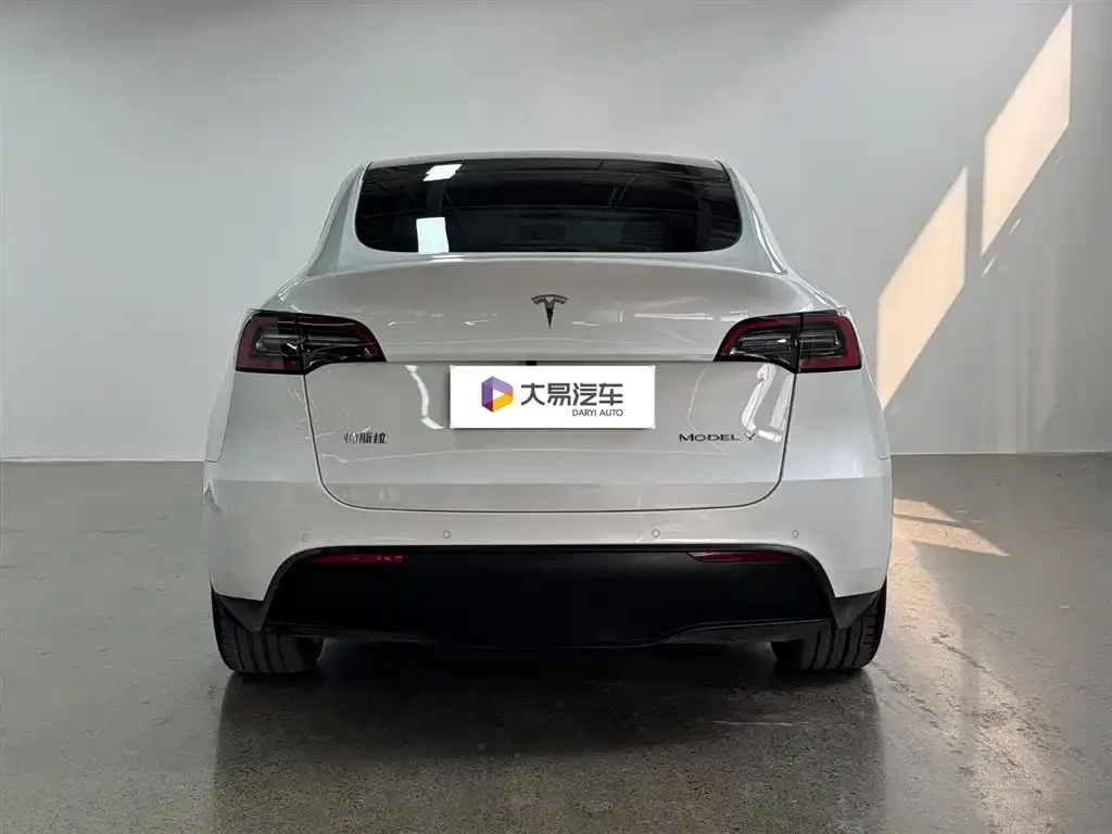 Tesla Model Y — фото 9
