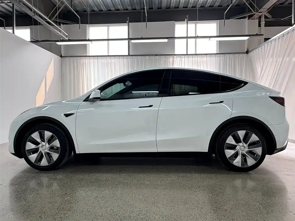 Tesla Model Y — фото 10