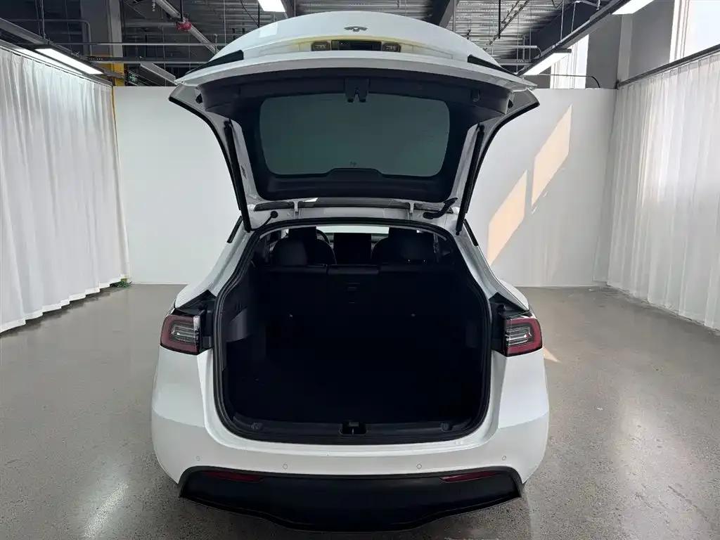 Tesla Model Y — фото 2