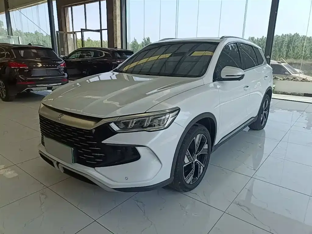 BYD Pro New Energy — фото 5