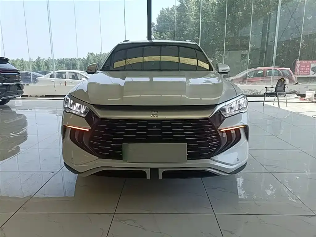 BYD Pro New Energy — фото 10