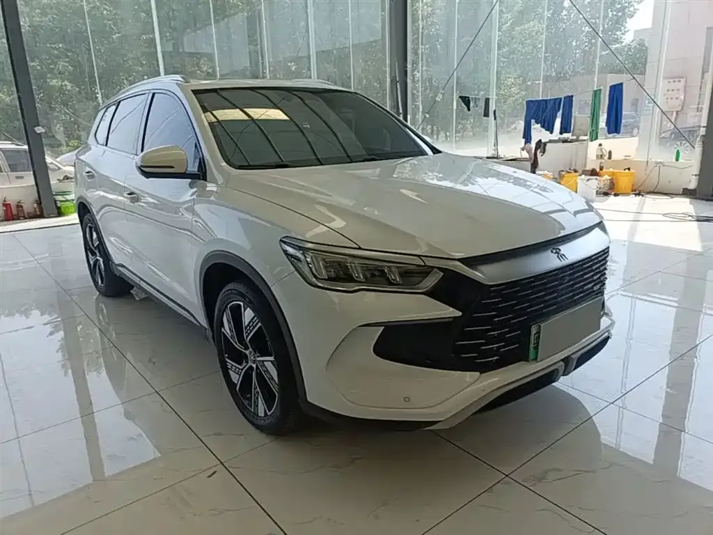BYD Pro New Energy — фото 9