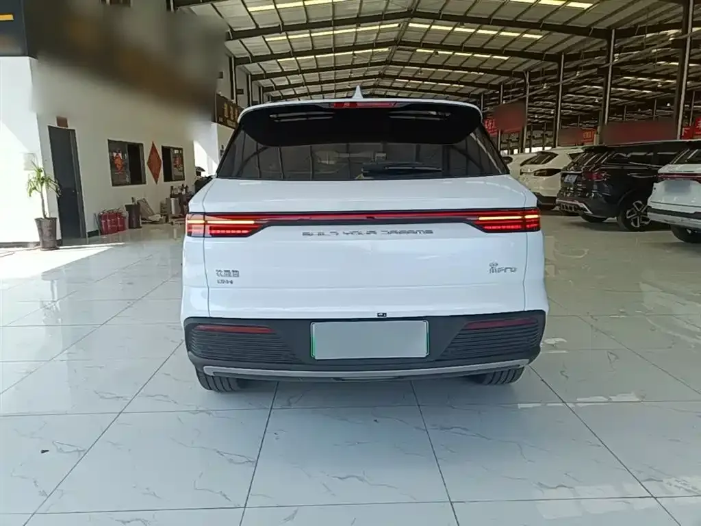 BYD Pro New Energy — фото 7