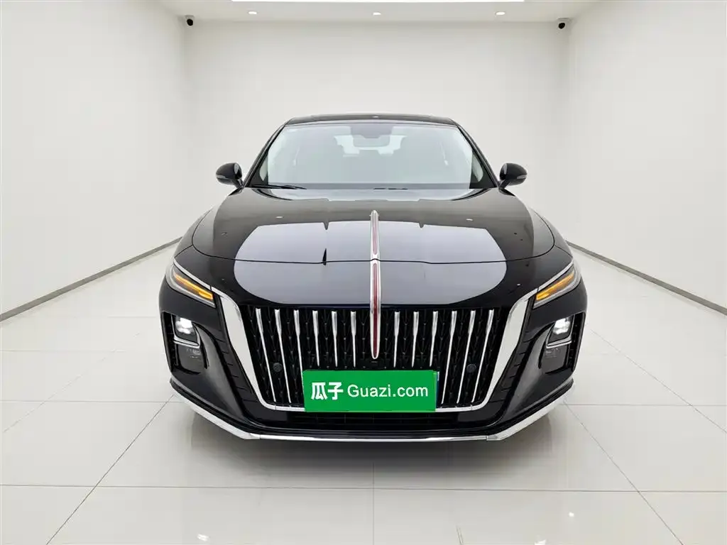 Hongqi H5 2024 из CN, фото 4