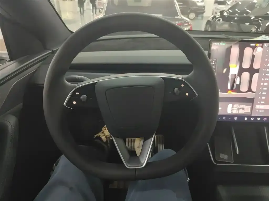 Tesla Model Y L 2025 из CN, фото 2