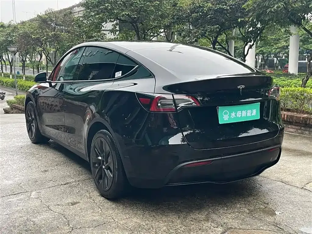 Tesla Model Y — фото 10