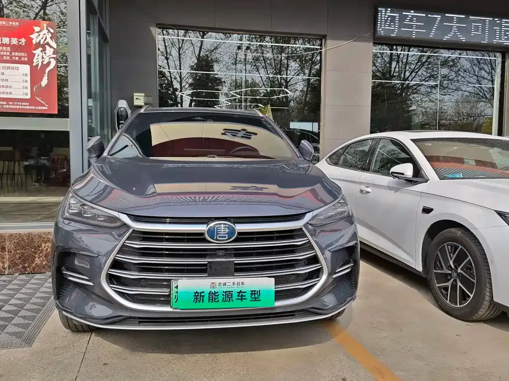 BYD Tang New Energy — фото 10