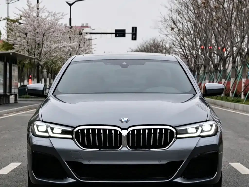 BMW 5 Series (Import) — фото 3