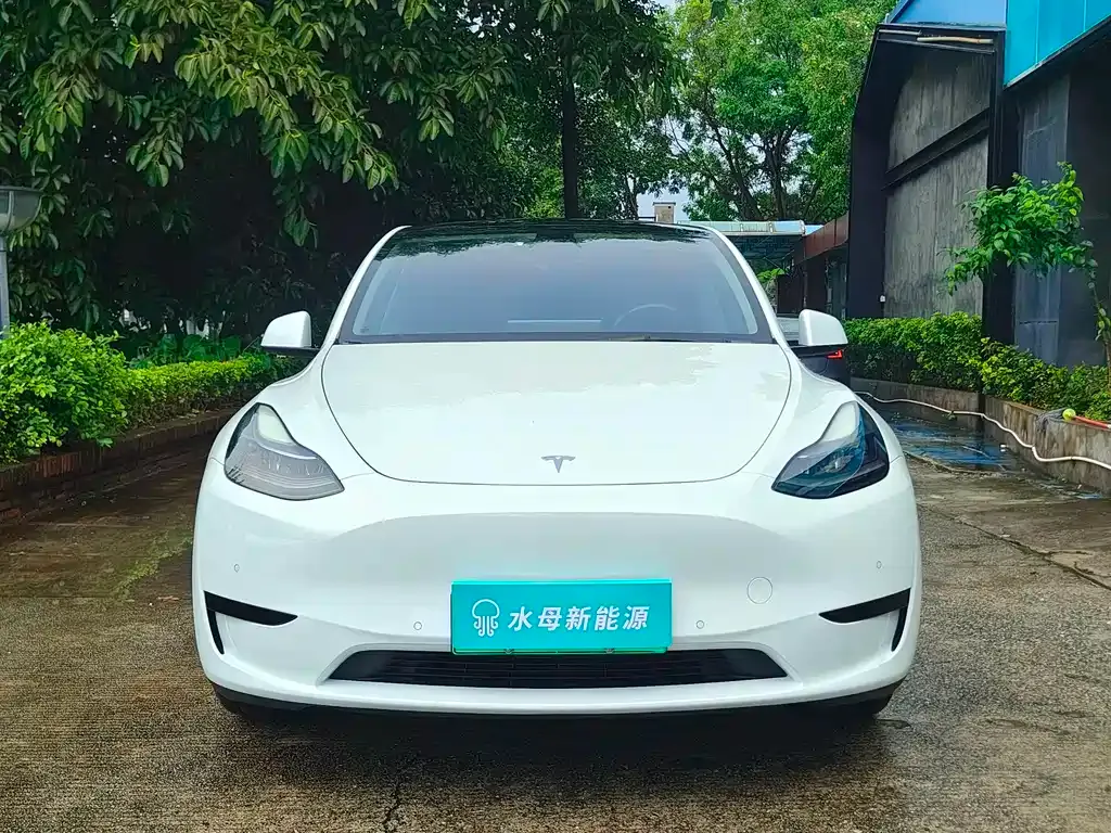 Tesla Model Y — фото 9
