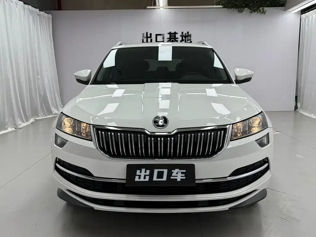 Skoda Karoq 2021 из CN, фото 8