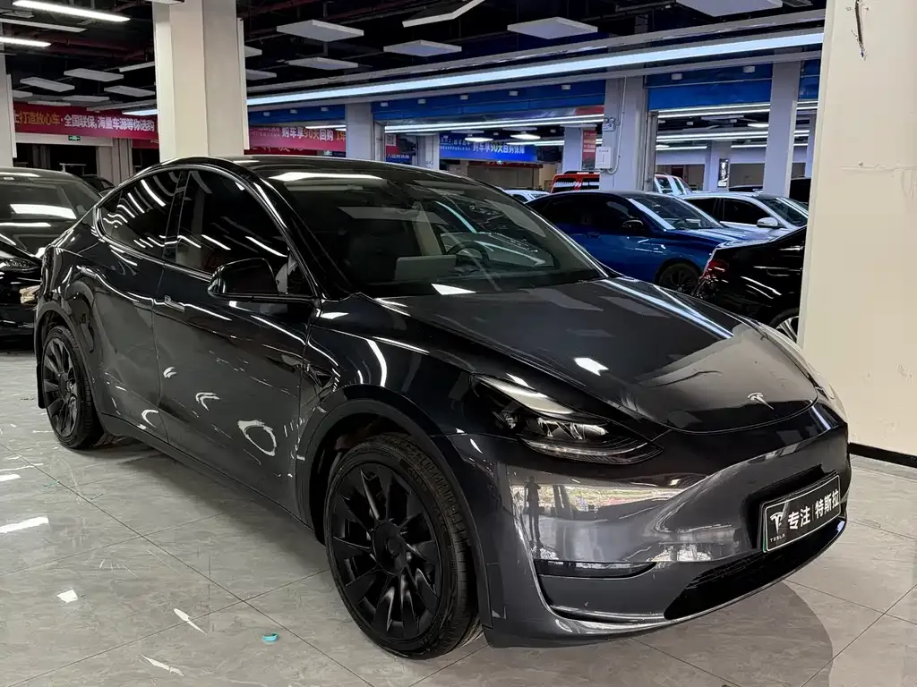Tesla Model Y — фото 1