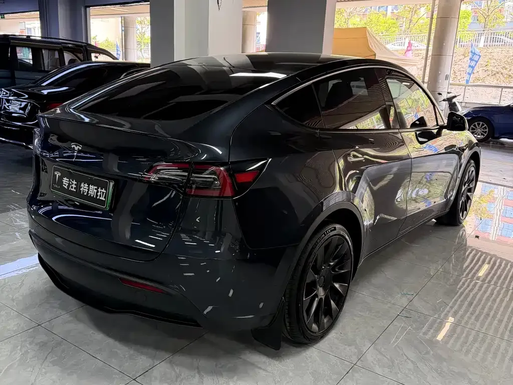 Tesla Model Y — фото 6