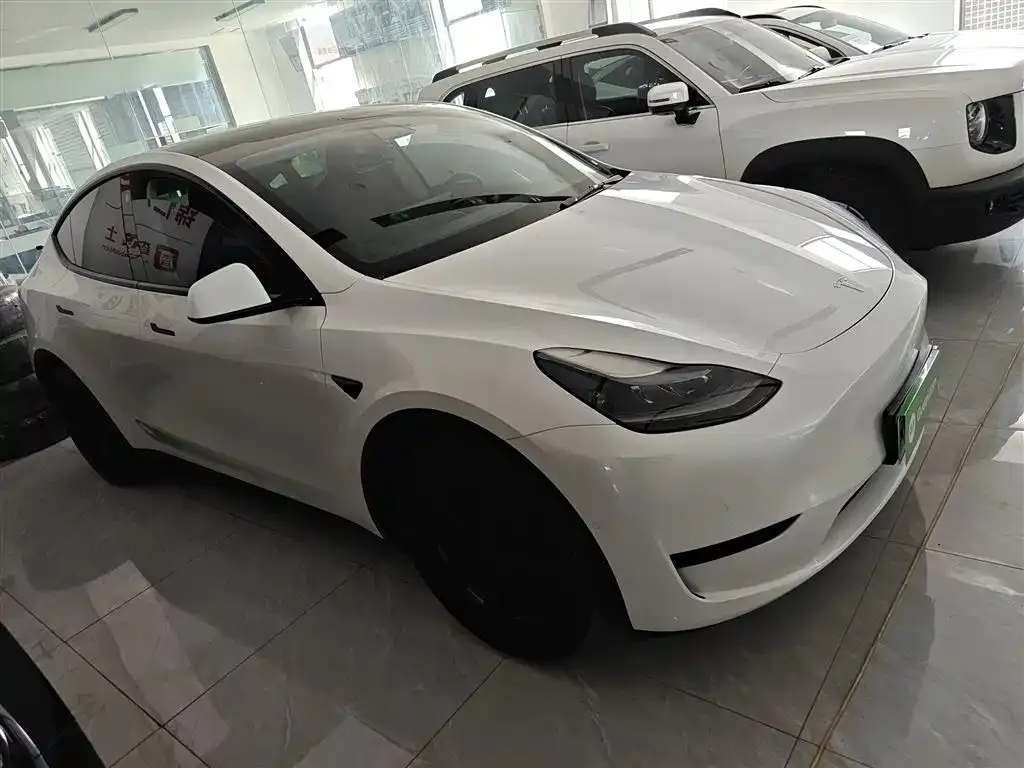 Tesla Model Y — фото 8
