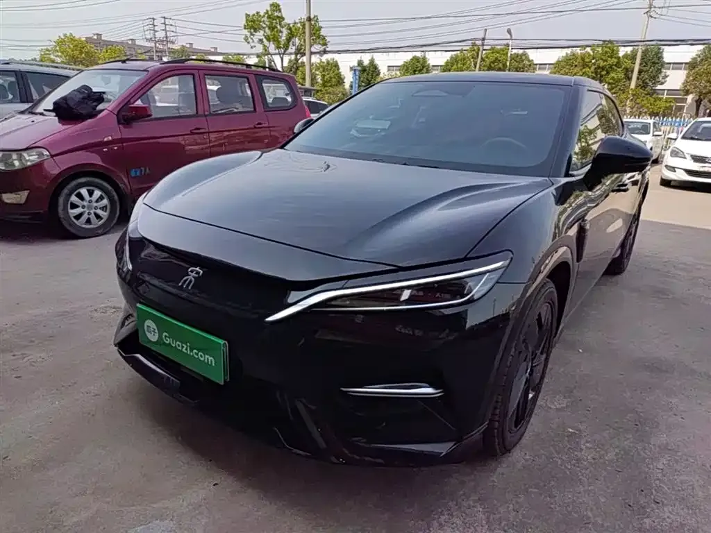 BYD L EV