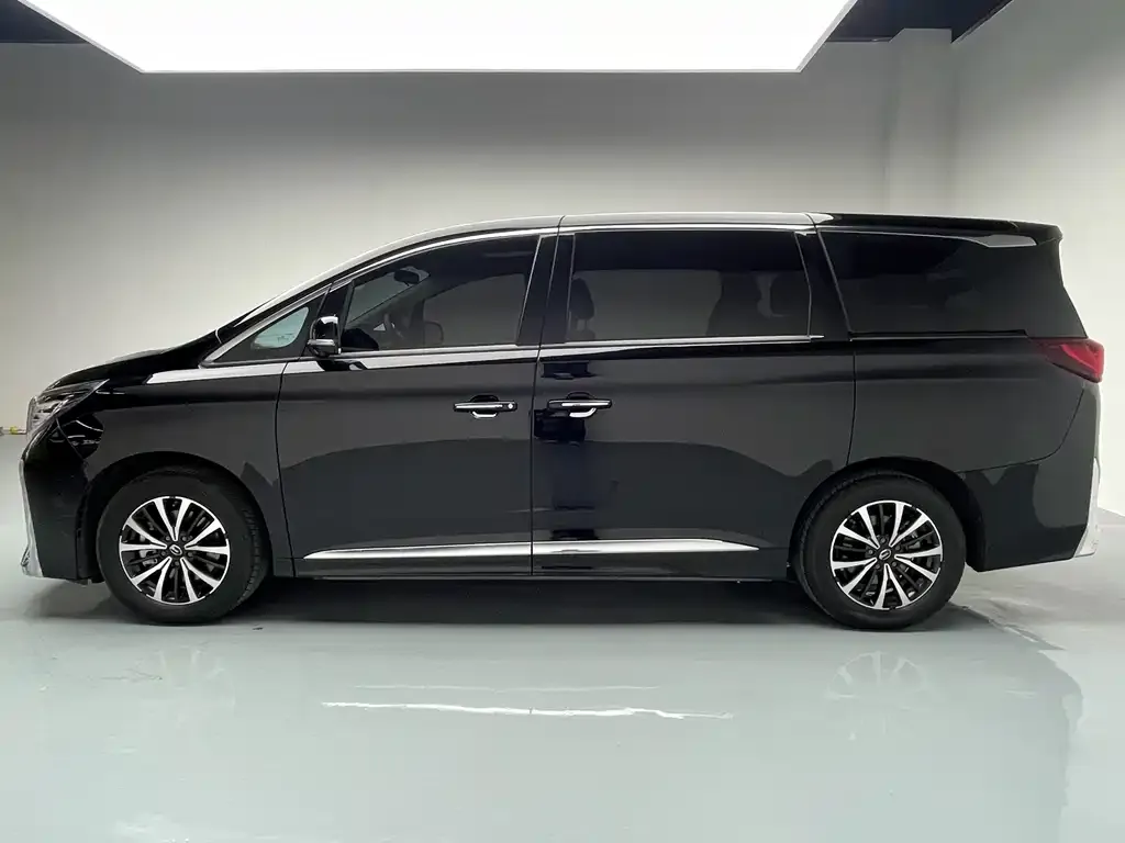 GAC Motor Trumpchi M8 — фото 3
