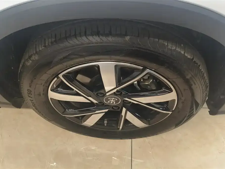 BYD Pro New Energy — фото 5