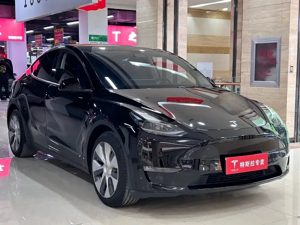 Tesla Model Y — фото 8
