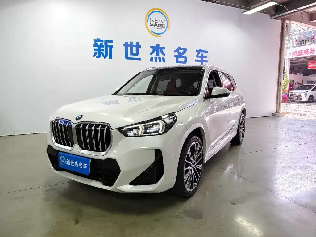 BMW X1 — фото 1