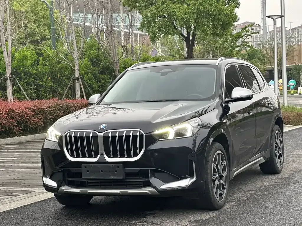 BMW X1 — фото 1