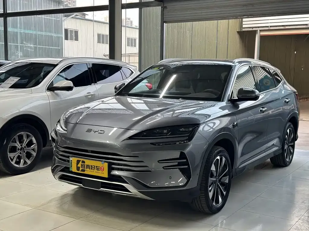 BYD PLUS New Energy — фото 1