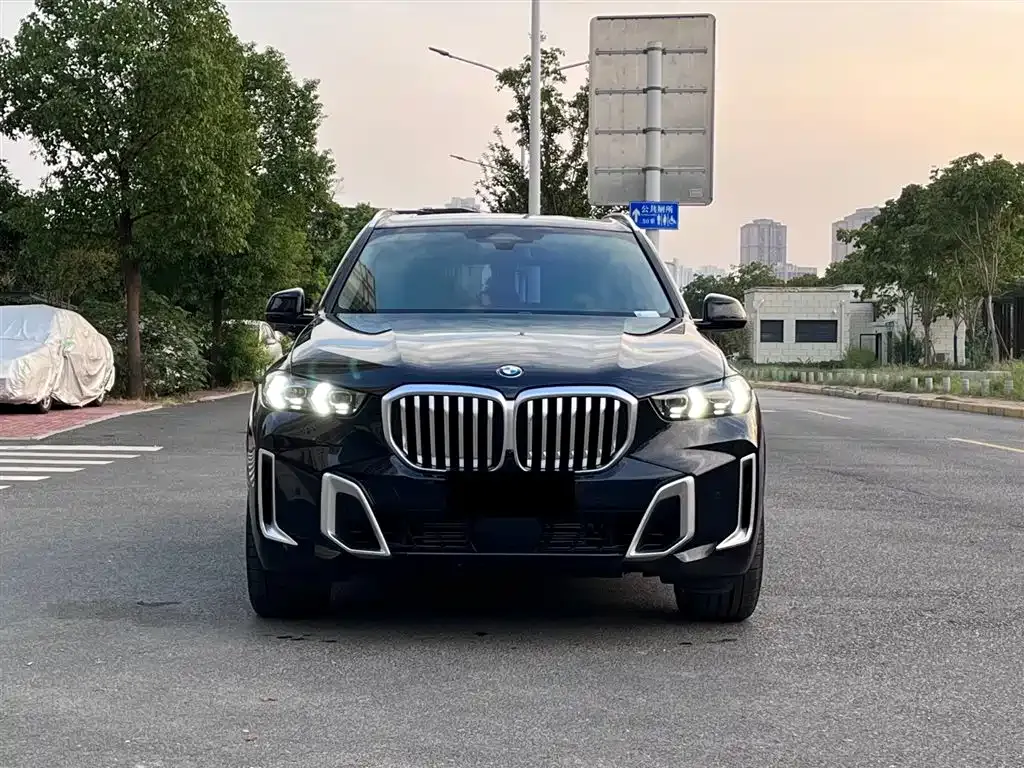 BMW X5 — фото 10