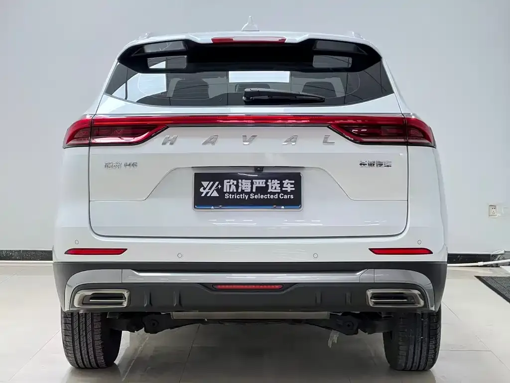 Haval H6 2021 из CN, фото 2