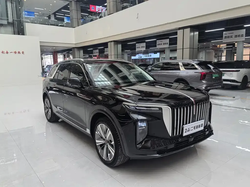 Hongqi E-HS9 2023 из CN, фото 5