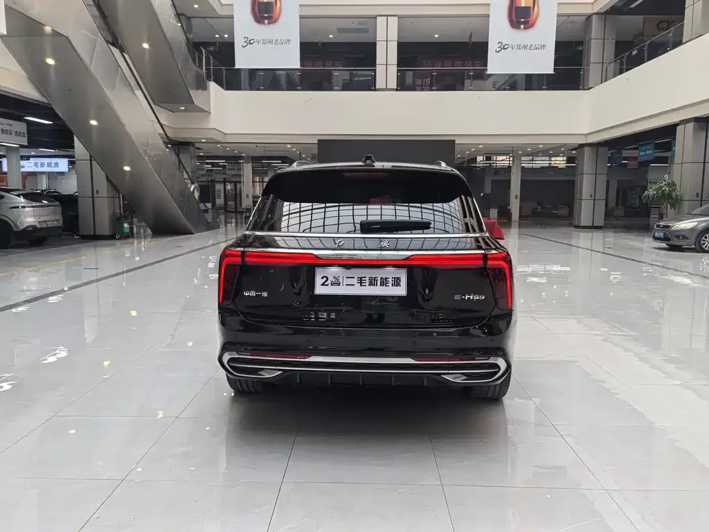 Hongqi E-HS9 2023 из CN, фото 9