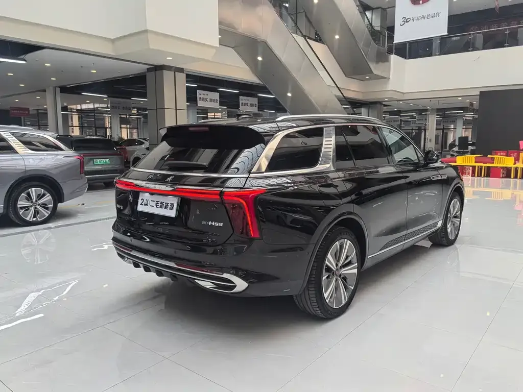 Hongqi E-HS9 2023 из CN, фото 4