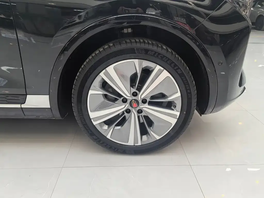 Hongqi E-HS9 2023 из CN, фото 2