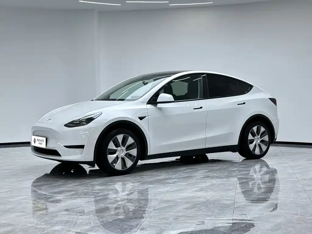 Tesla Model Y 2023 из CN, фото 1