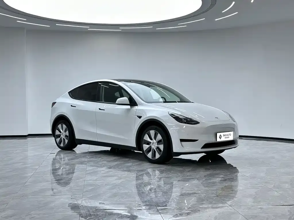 Tesla Model Y 2023 из CN, фото 7