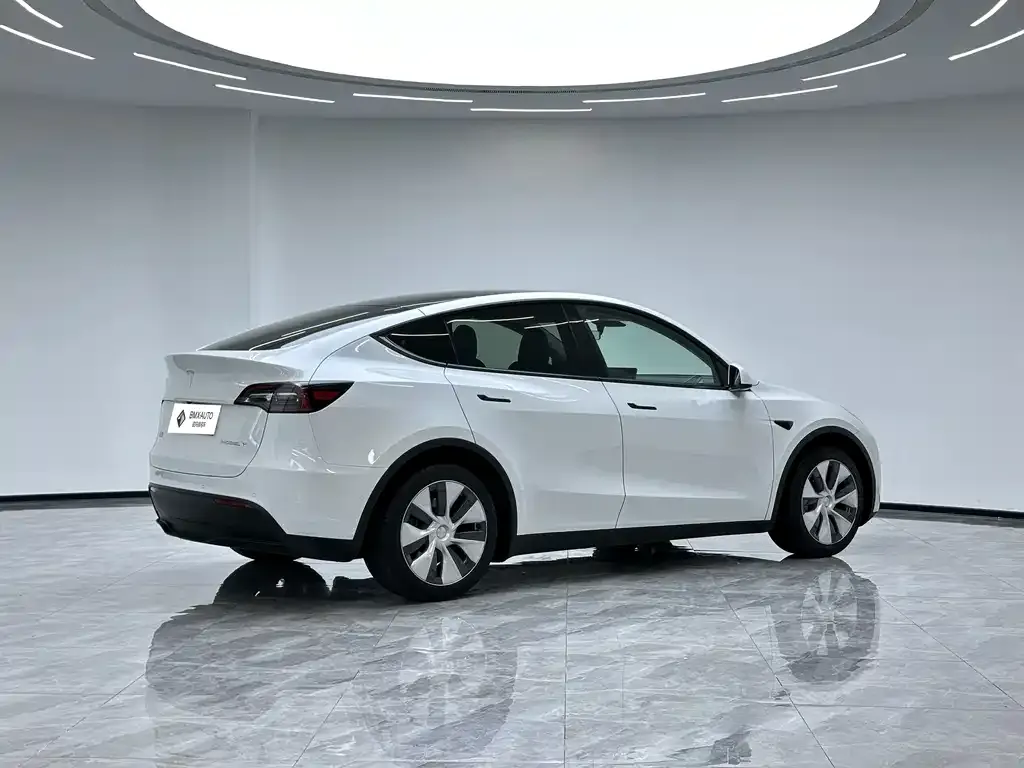 Tesla Model Y 2023 из CN, фото 2