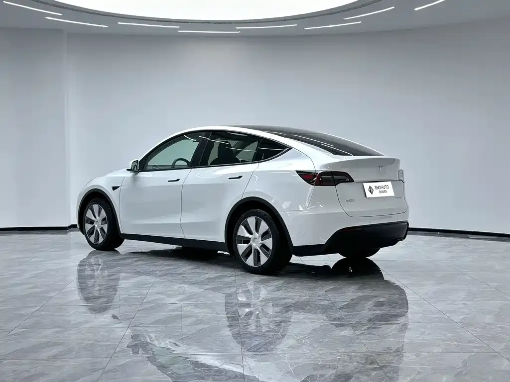 Tesla Model Y 2023 из CN, фото 6
