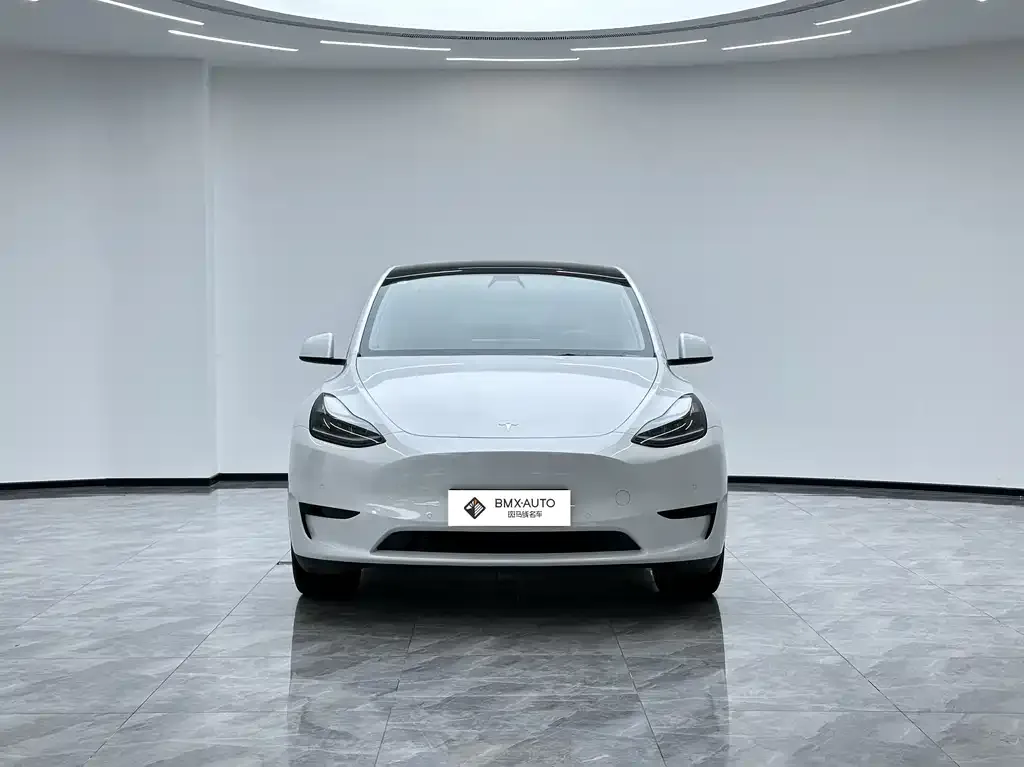 Tesla Model Y 2023 из CN, фото 5