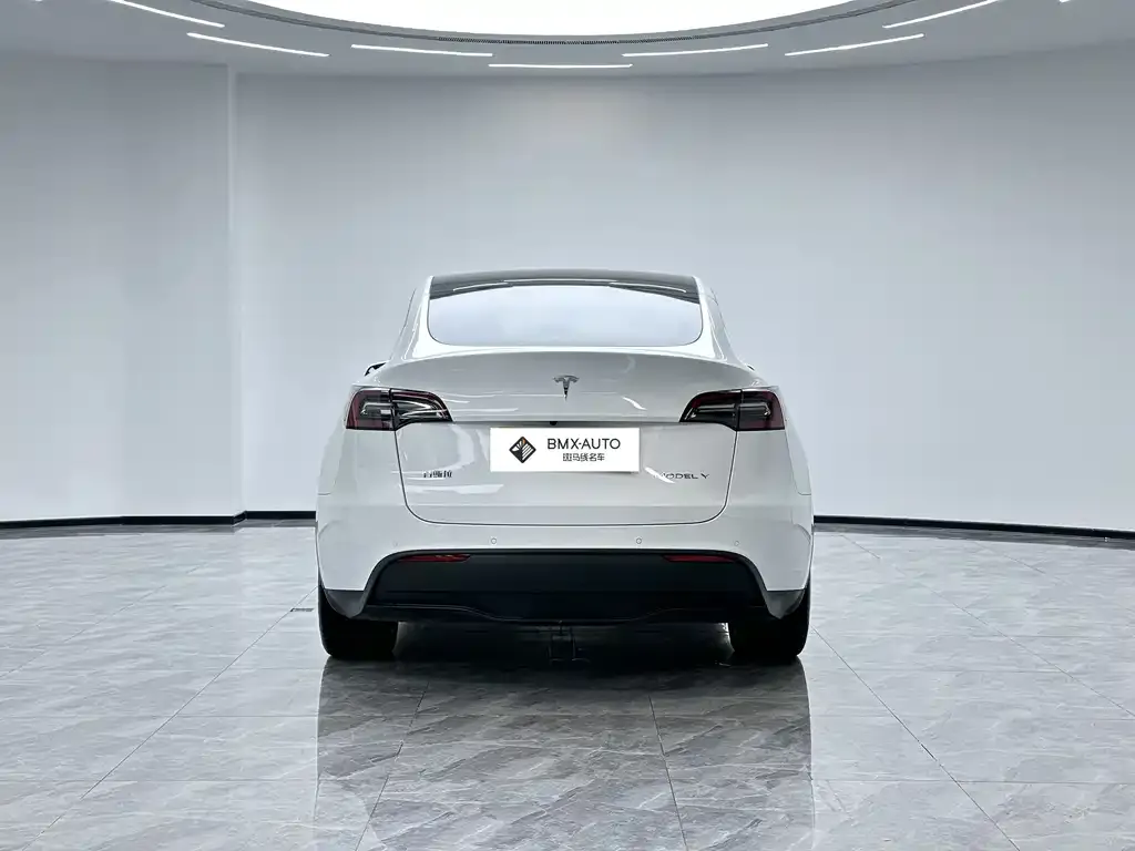 Tesla Model Y 2023 из CN, фото 3