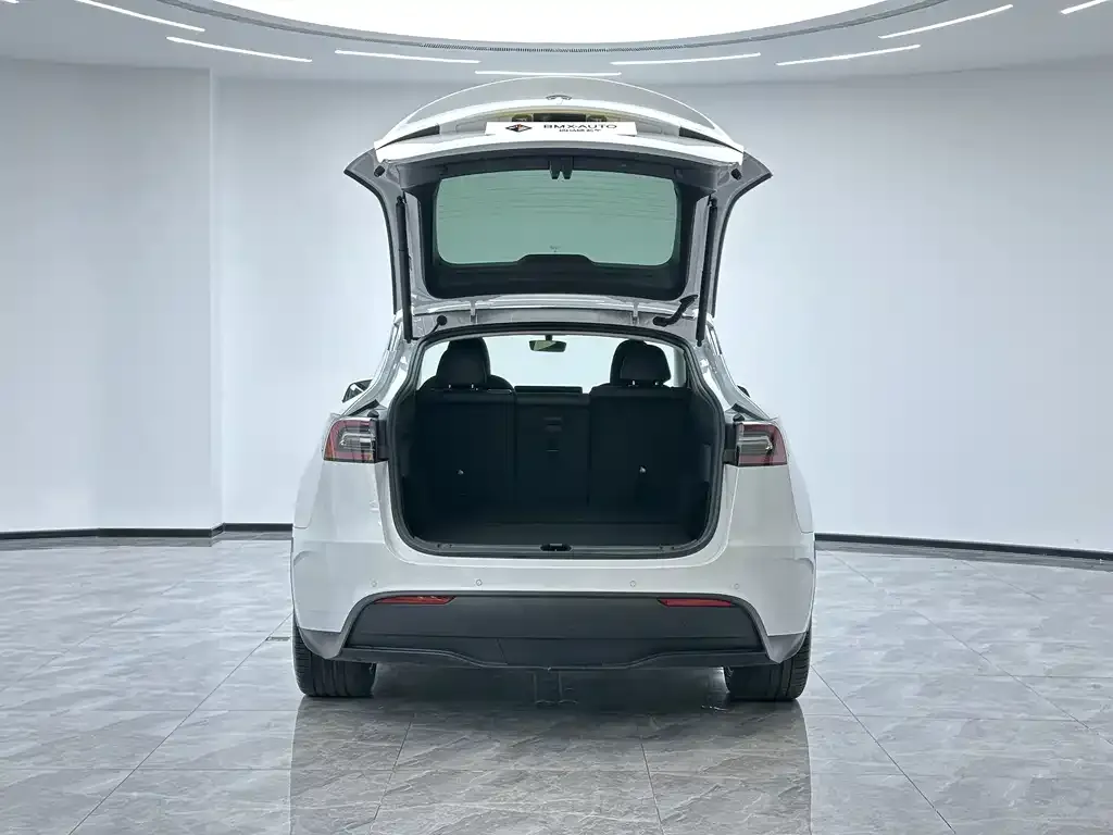 Tesla Model Y 2023 из CN, фото 4