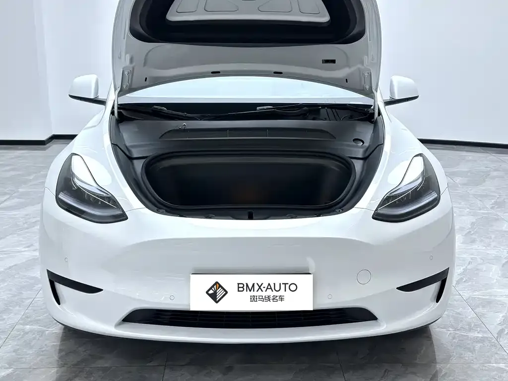Tesla Model Y 2023 из CN, фото 8
