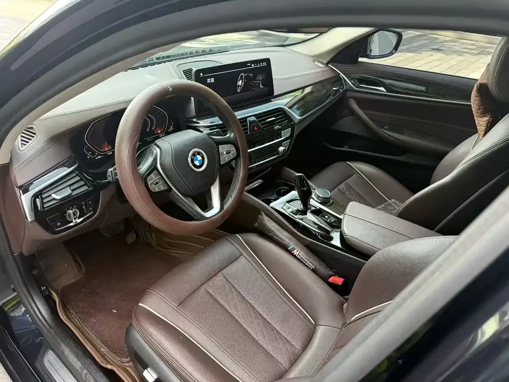 BMW 5 Series 2021 из CN, фото 4
