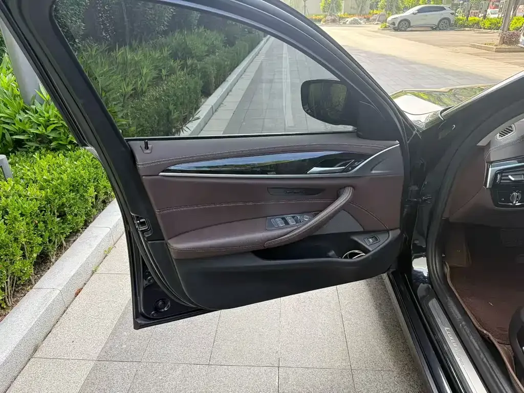 BMW 5 Series 2021 из CN, фото 5
