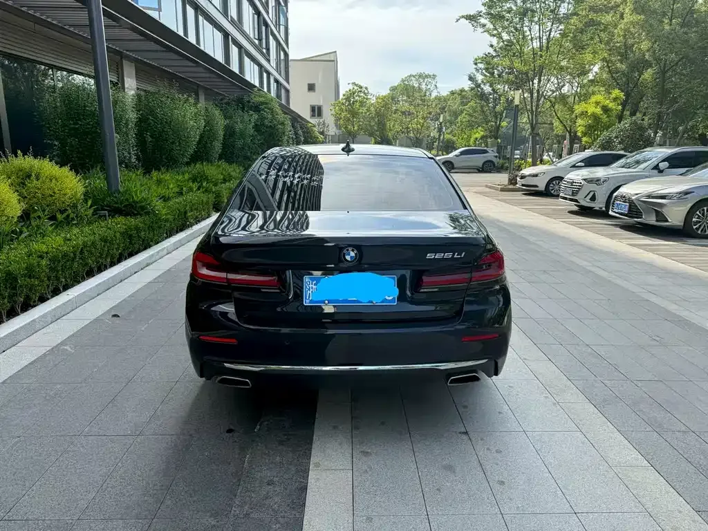 BMW 5 Series 2021 из CN, фото 3